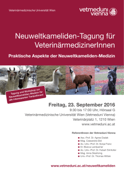 Programm