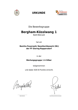 Urkunde Bergham-Koesslwang 1 - FLA Silber 12 - Wels-Land