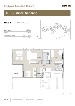 3 1/2-Zimmer-Wohnung - Überbauung Zahnershueb 2.0