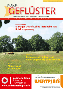 Dorf-Gefl&uuml;ster B&ouml;nningstedt