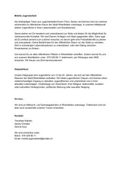 Mobile Jugendarbeit Als dreiköpfiges Team aus