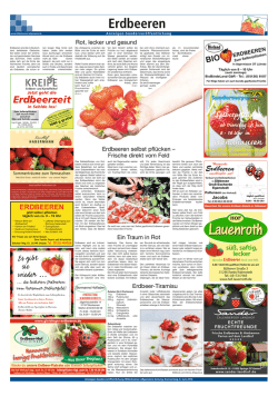 Erdbeeren - Hildesheimer Allgemeine Zeitung