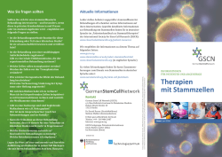 Therapien mit Stammzellen