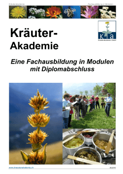 Info-Flyer-Kräuterkurs