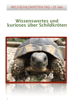 Newsletter Mai 2016 - Landschildkröten Stuttgart