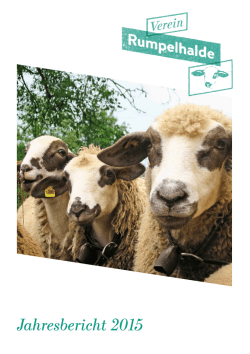 Jahresbericht 2015