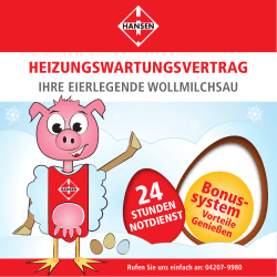 heizungswartungsvertrag - HWT Hansen Wärme