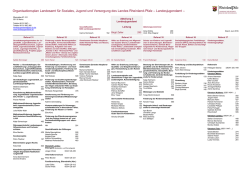 Organisationsplan des Landesjugendamtes
