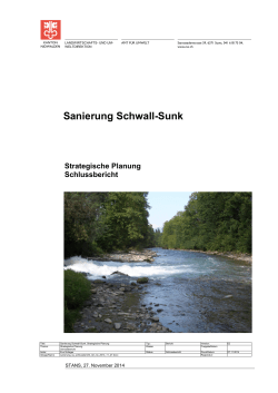 Sanierung Schwall-Sunk. Strategische Planung