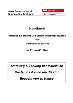 Handbuch - Elektronische Zahlung und Meldung zur Zahlung von