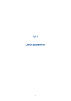 III.1 Leistungsbeschreibung
