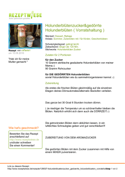 Druckversion