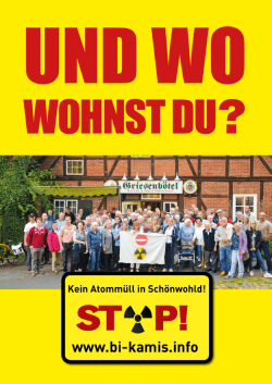 Flugblatt der Bürgerinitiative KAmiS