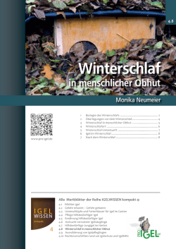 Winterschlaf