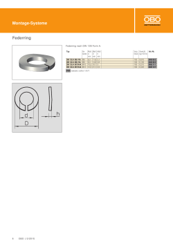 Montage-Systeme Federring