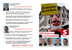 Folder_Team_PDF_Druck - SPÖ und Parteifreie Schruns