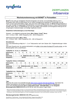Infoservice