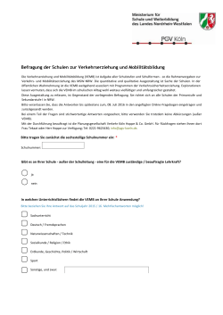 VEMB-Schulfragebogen-pdf