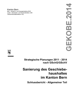 Sanierung des Geschiebe- haushaltes im Kanton