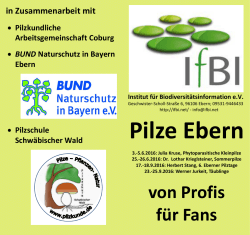 Pilze Ebern - BUND Naturschutz