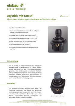 Joystick mit Knauf