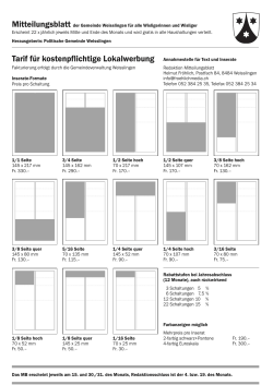 Inserategroessen und -preise