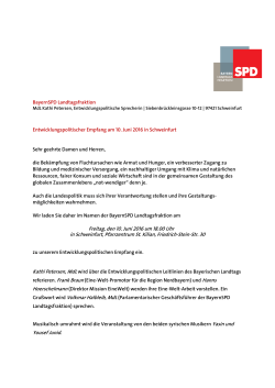 Entwicklungspolitischen Empfang der SPD