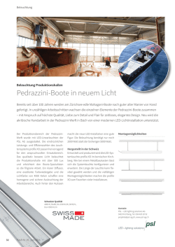 EEV Flash Mai 2016