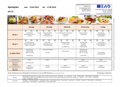 Speiseplan KW 24_2016