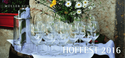 hoffest 2016 - Weingut M&uuml;ller