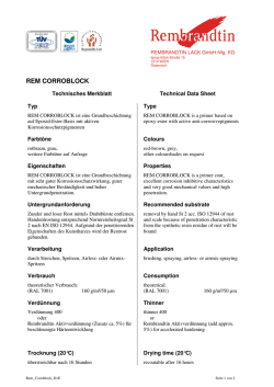 rem corroblock