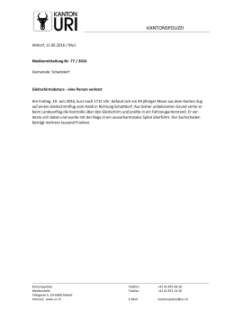 AMT FÜR EDV
