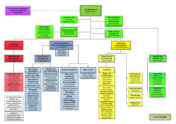 Organigramm Oxfam Deutschland e.V. PDF | 319,36 kb