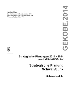 Strategische Planung Schwall/Sunk