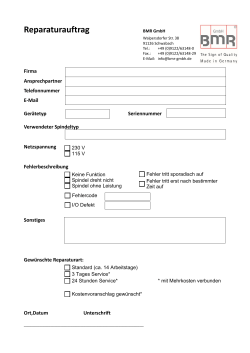 Reparaturauftrag