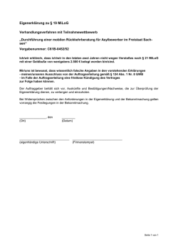 Eigenerklärung zu § 19 MiLoG