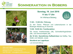 Sommeraktion in Boberg - Loki Schmidt Stiftung