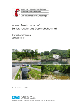 Kanton Basel-Landschaft Sanierungsplanung