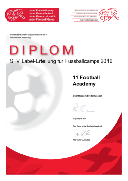 SFV Label-Erteilung für Fussballcamps 2016 11 Football Academy