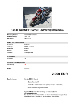 Detailansicht Honda CB 900 F Hornet