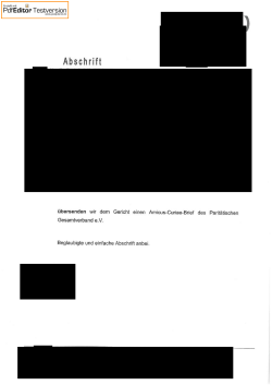 Amicus–Curiaiae–Brief des DPWV Bundesverband v
