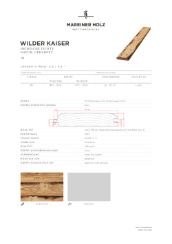 wilder kaiser - Mareiner Holz