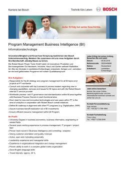 Program Management Business Intelligence (BI)