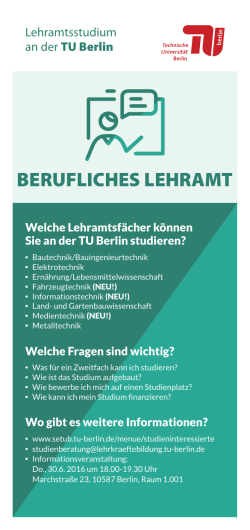 berufliches lehramt