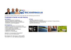 Stelleninserat als pdf