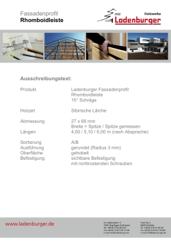 Fassadenprofil Rhomboidleiste