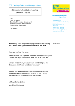 FDP Landtagsfraktion Schleswig-Holstein Schleswig