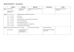 Module WS 2016/17 – „Stundenplan“