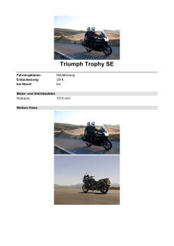 Detailansicht Triumph Trophy SE