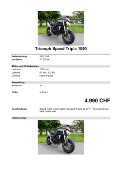 Detailansicht Triumph Speed Triple 1050